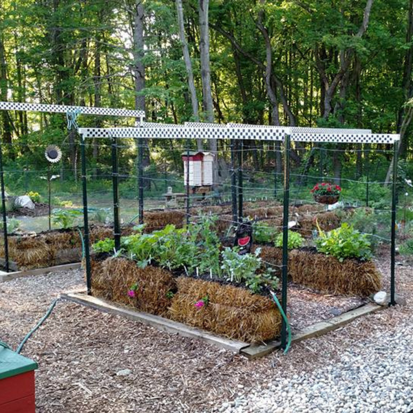 Straw Bale Gardens  - by Joel Karsten