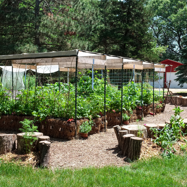 Straw Bale Gardens  - by Joel Karsten