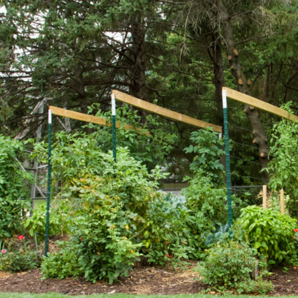 Straw Bale Gardens  - by Joel Karsten