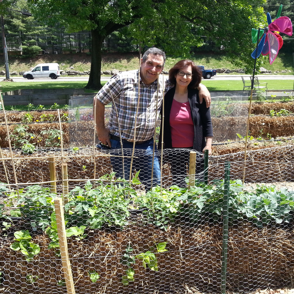 Straw Bale Gardens Complete - $19.99 ships FREE