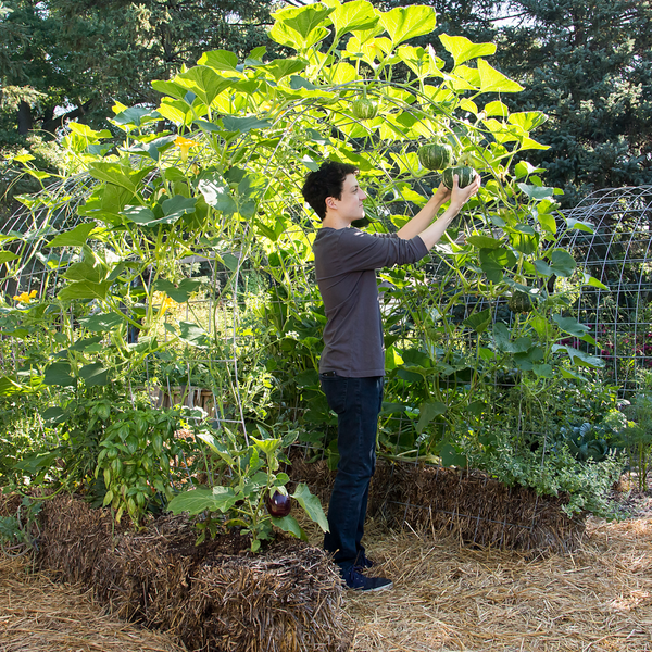 Straw Bale Gardens Complete - $19.99 ships FREE