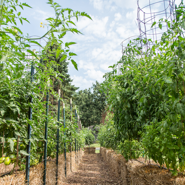 Straw Bale Gardens Complete - $19.99 ships FREE