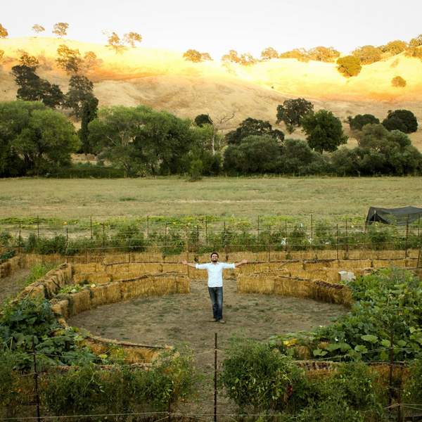 Straw Bale Gardens  - by Joel Karsten