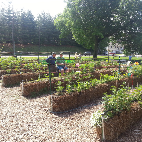 Straw Bale Gardens Complete - $19.99 ships FREE