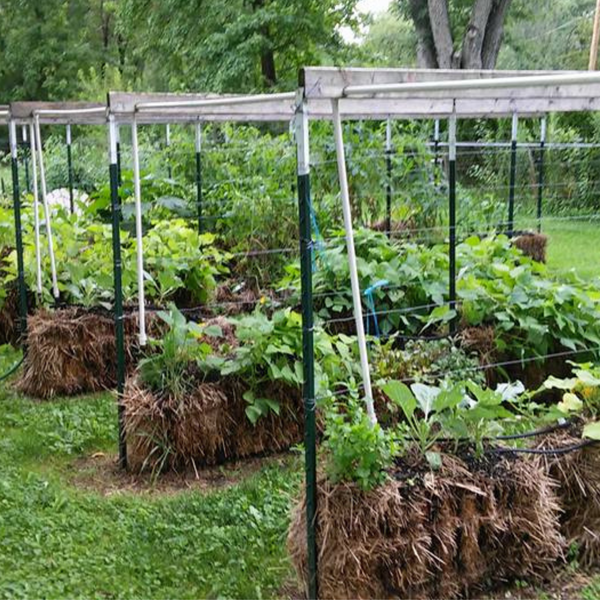 Straw Bale Gardens  - by Joel Karsten